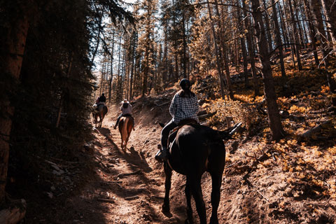 Horse Riding