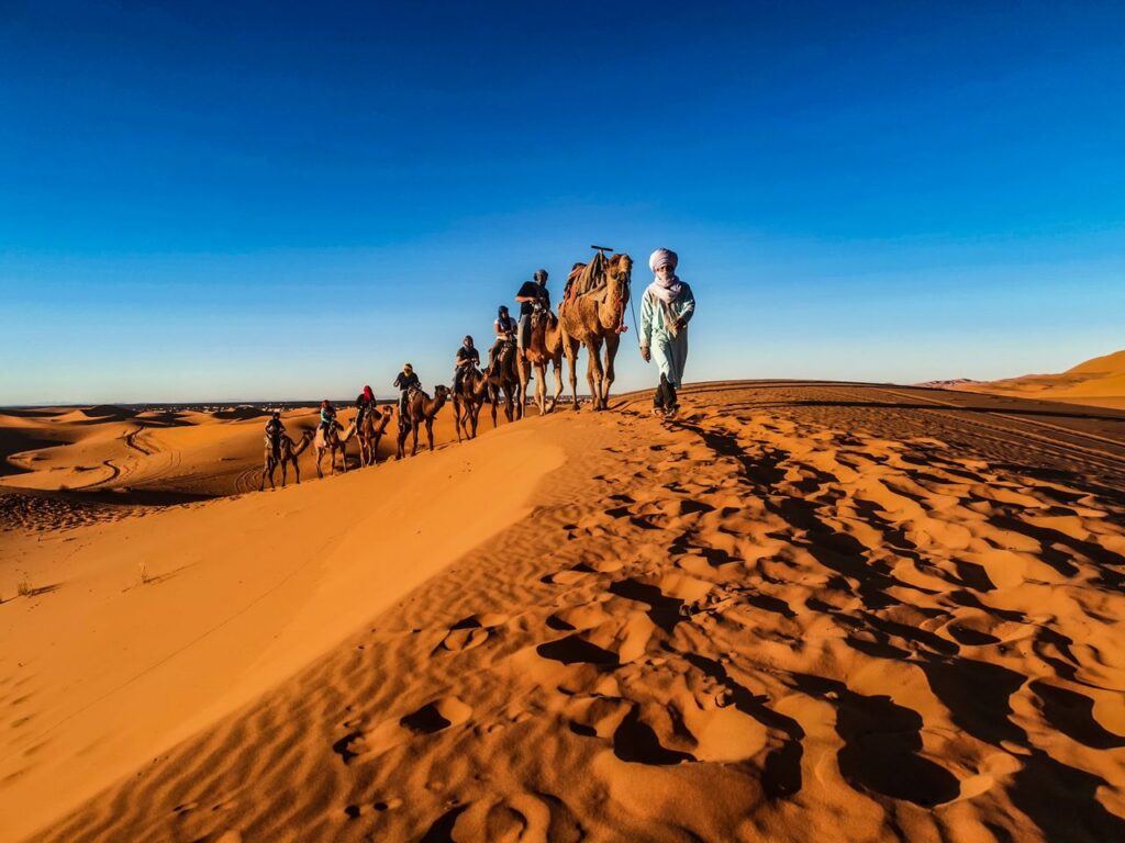 A caravan of camels led by a person traverses the sunlit desert dunes.